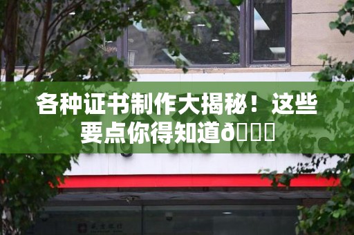 青云谱各种证书制作大揭秘！这些要点你得知道😎